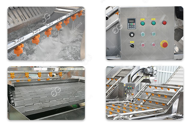 peeled garlic clove cleaning equipment