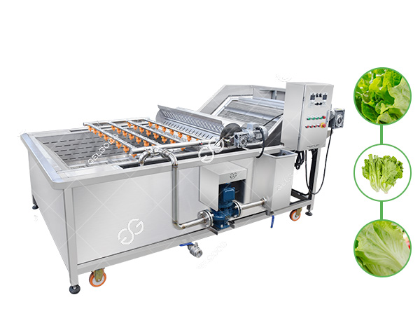 lettuce-washing-machine.jpg