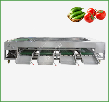 Vegetable Grading Machine