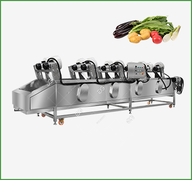 Vegetable Drying Machine