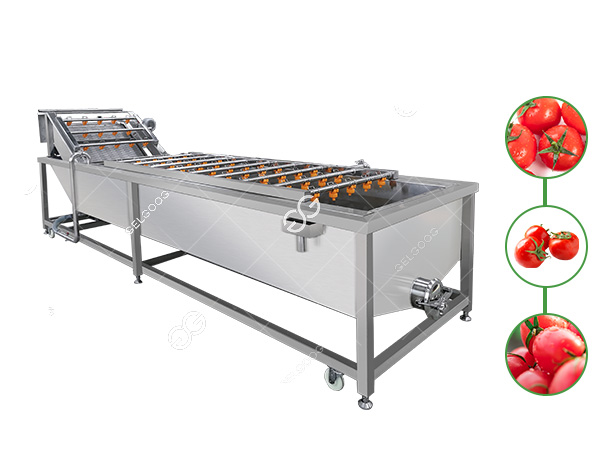 tomato cleaning machine