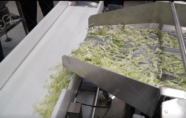 How To Start A Business Of Processing Vegetables