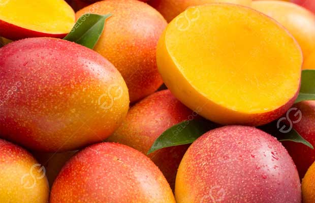 /brush-washer-for-mango