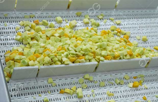 /fruit-washing-equipment