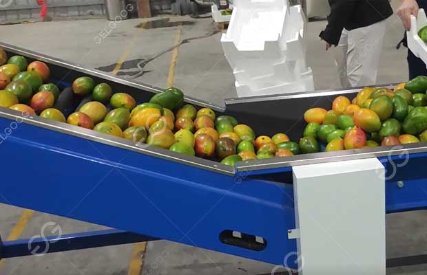 mango washing machine