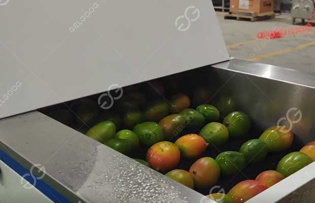 mango washing machine