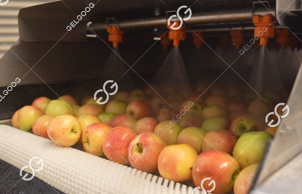 apple cleaning equipment