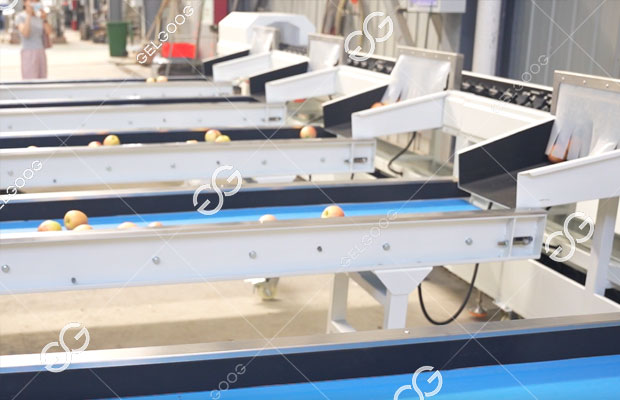 apple grading machine