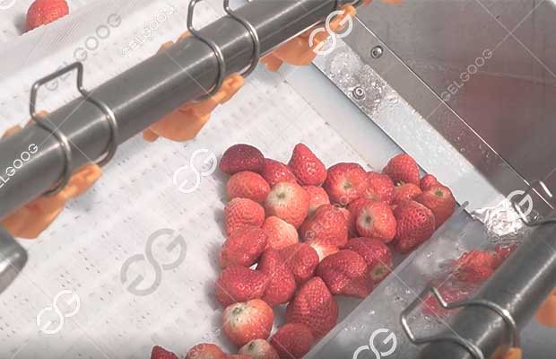 fruit-processing-line