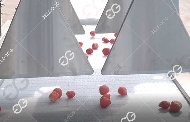 strawberry-washing-sorting-line