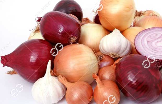 Onion-processing-Line