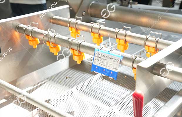 vegetable washing machine 