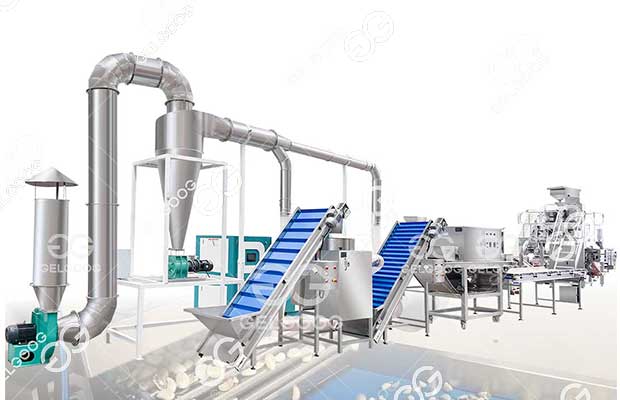 Commercial Garlic Processing Equipment