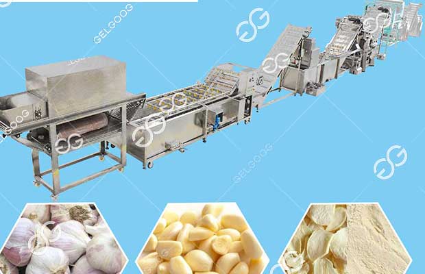 Automatic Garlic Processing Line