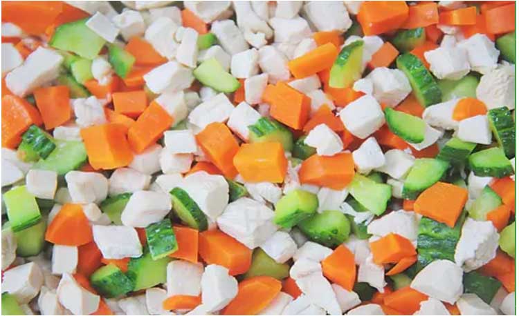 vegetable dicing machine