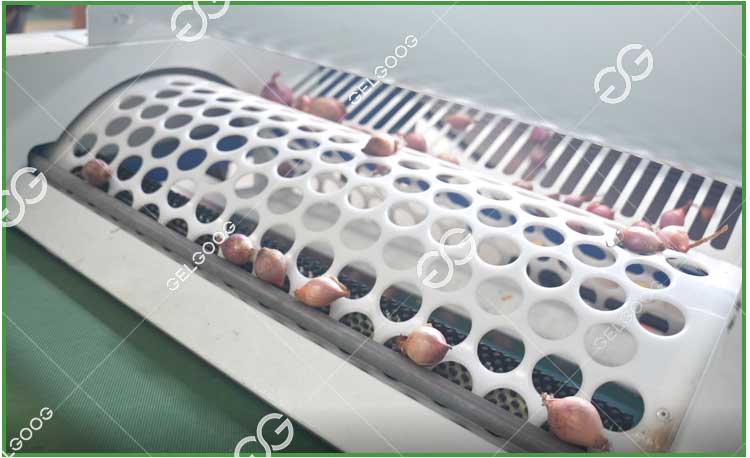 automatic onion grading machine
