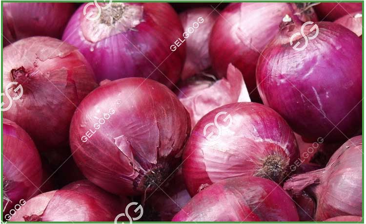 onion sorting machine